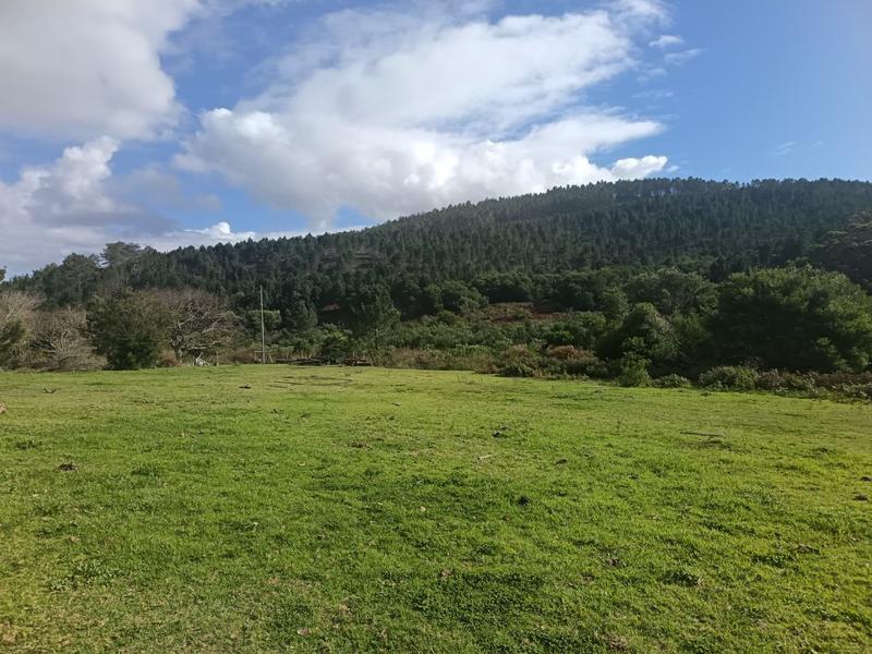 0 Bedroom Property for Sale in Napier Western Cape